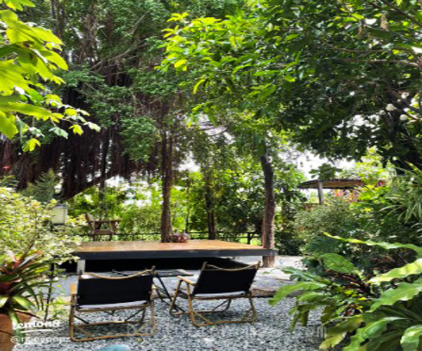 คาเฟ่ลับกลางเมือง
