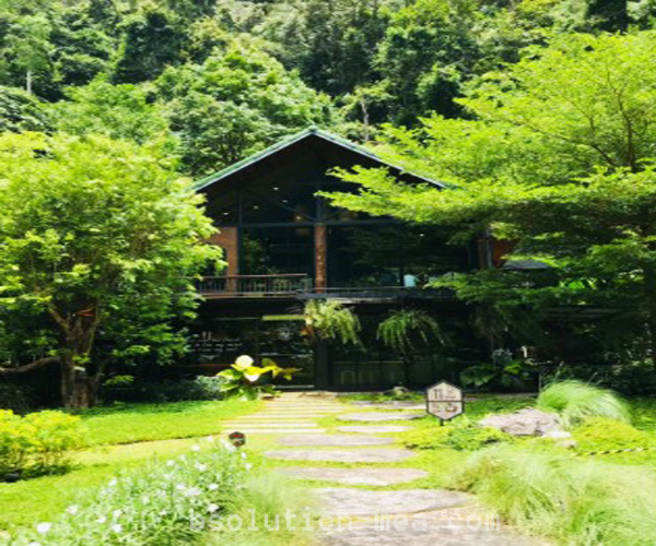 รีวิว The Forest Blend Café