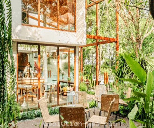 แนะนำคาเฟ่บรรยากาศดี