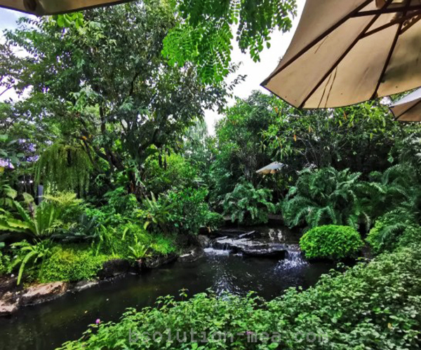 รีวิวคาเฟ่ “Forest & Foam” คาเฟ่สไตล์ธรรมชาติ